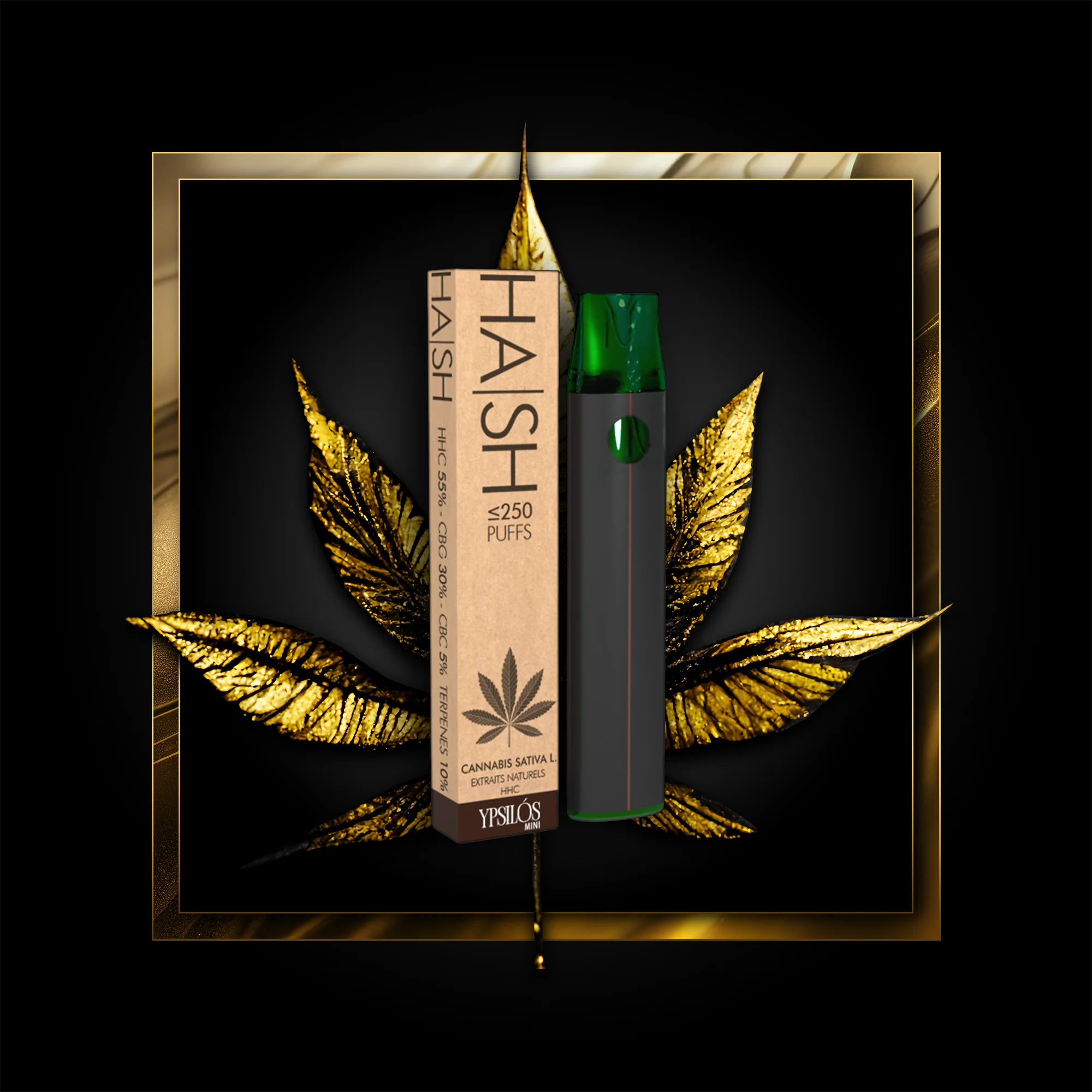 Hash (à usage unique) 250 bouffées - 0,50 ml. HHC