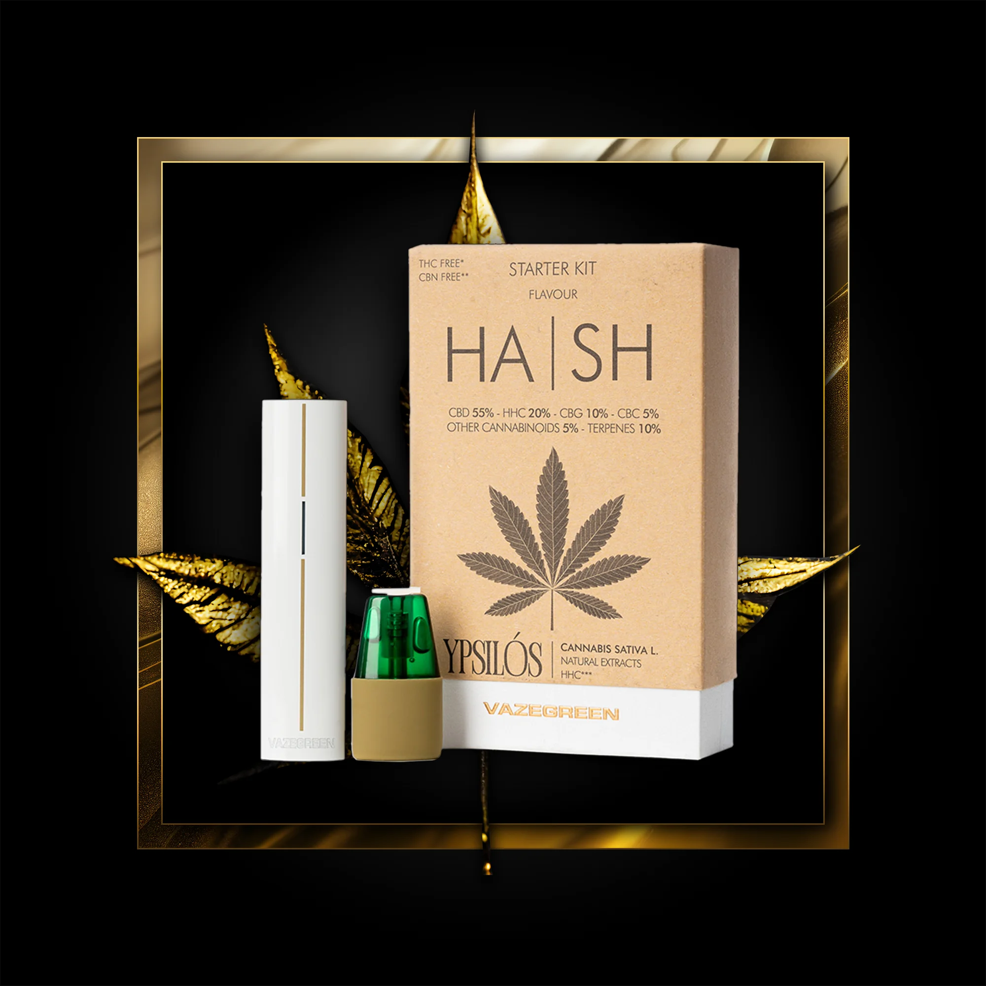 Hash Pen (kit de démarrage) 500 bouffées - 1,00 ml. HHC